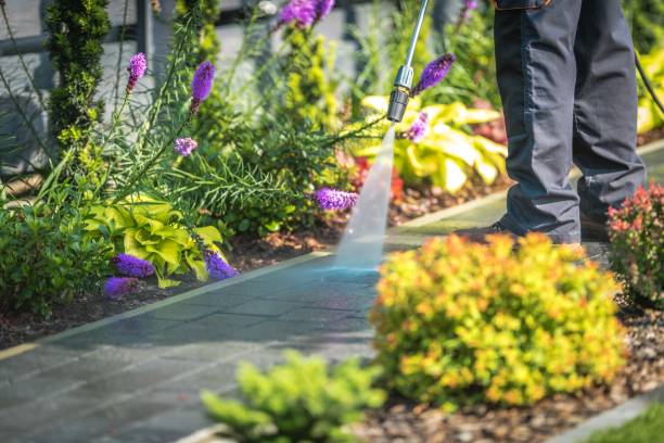 Professional Pressure Washing Services in Montalvin Manor, CA
