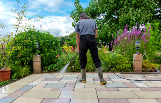 Best Dumpster Area Cleaning  in Montalvin Manor, CA